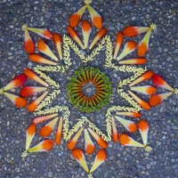 MANDALA