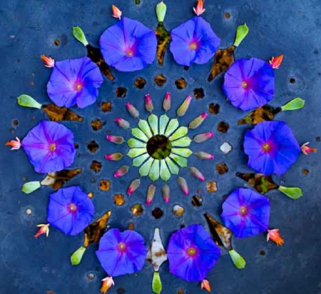 MANDALA - flowers, petals, abstract, garland