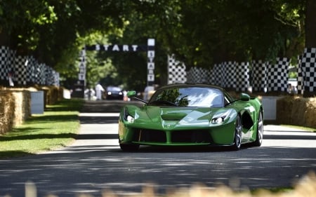 2014 Ferrari ~ LaFerrari - laferrari, cars, 2014, green