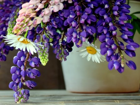 Bouquet of field flowers