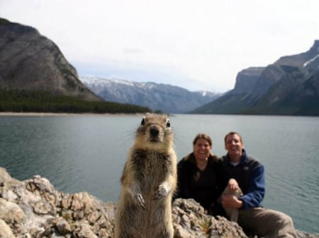 PERFECTLY TIMED PHOTO - animal, timed, people, photo