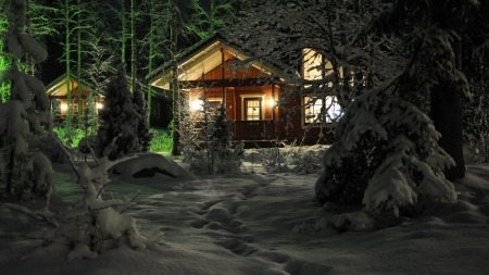 forest homes at night in winter - houses, forest, winter, night, lights