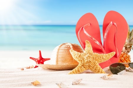 â™¥Summer Vacationâ™¥ - flip, beach, sunshine, hat, shells, summer, flops, vacation, starfish, star, fish, sand