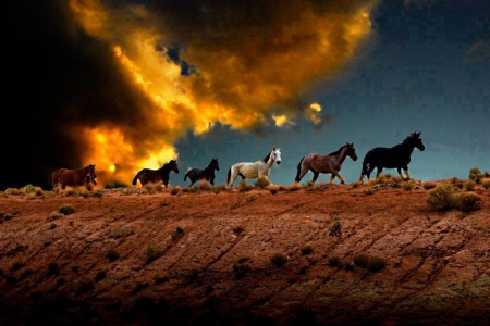 On the run - burning, danger, horses, hot, scared