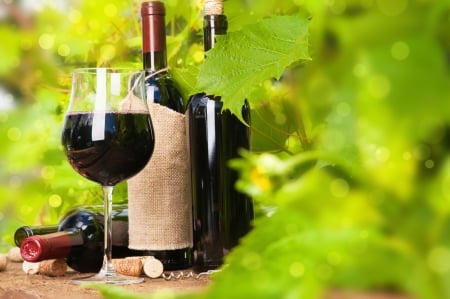 Wine - splendor, bokeh, wine, red wine