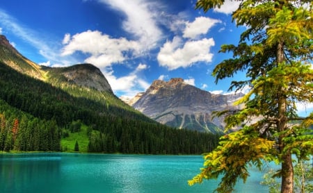 Wonderful Emerald Lake - summer, forest, mountains, turquoise water, beautiful, canada, clouds, banff national park, trees