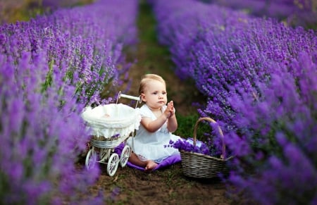 ♥ - lavender, splendor, flowers field, pure love, lavender field, love, baby, child, flowers, nature