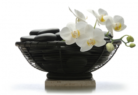 Black and White Harmony - black, basket, white, yellow, orchid, stones, contrast