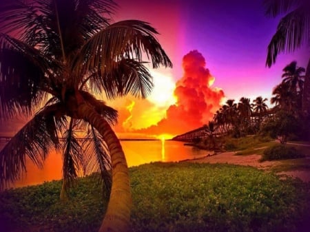 Sunset at exotic beach - Beaches & Nature Background Wallpapers on ...