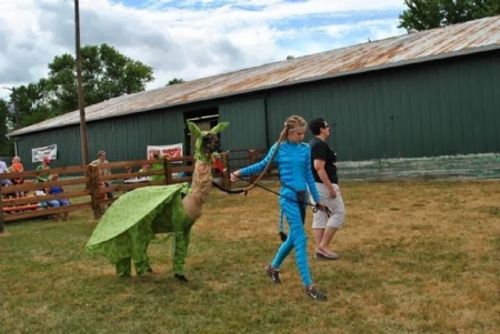 LLAMA - girl, man, up, llama, dressed