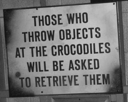 DON'T THROW OBJECTS - crocodiles, objects, them, retrieve