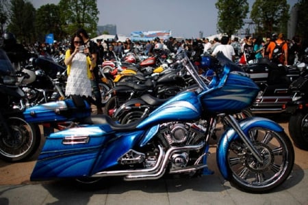 BLUE HARLEY