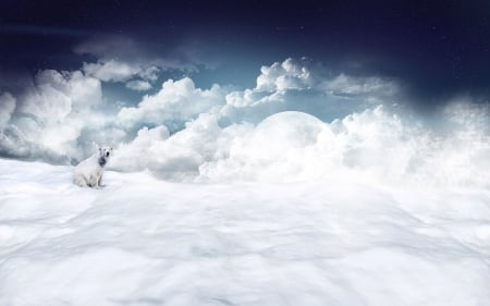 Fantasy  - cloud, white, sky, fantasy, moon, polar bear, blue