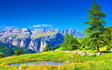 SUMMER in ALPINE MOUNTAINS - summer, forest, mountains, seasons, water, blue sky, pond, splendor, tree, nature