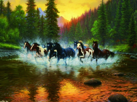 Wild Horses - herd, firs, water, river, sunset, nature