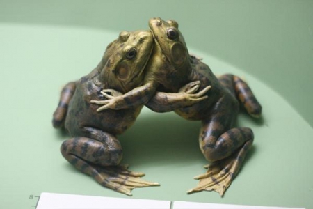 HUGGING - CUTE, HUGGING, TWO, FROGS