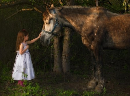 Deep Friendship - touch of love, girl, horse, deep friendship, child