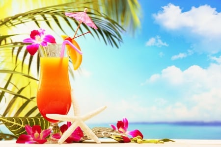 Tropical cocktail - tropical, summer, flowers, beach, palms, juice, sky, freshness, clouds, cocktail, orange, star, seashells