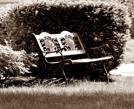 Vintage Summer Scene - park bench, summer scene, Vintage Summer Scene, vintage, antique bench, bench, vintage summer, antique