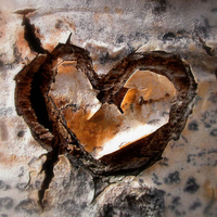 RUSTED LOVE