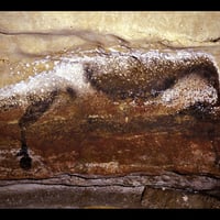 Caves of Lascaux