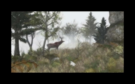 In the forest - stag, trees, stone, amazing, beautiful, colors, forest, tree, drawing, painting, old, nice, animals, wild