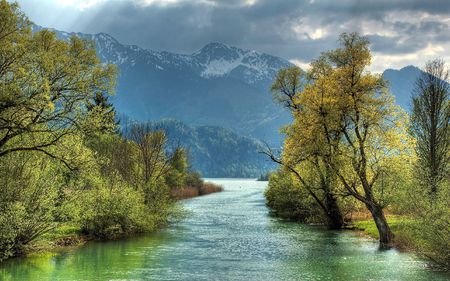 Kochelsee - green, tree, kochelsee