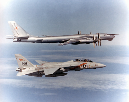 A Bear and its Tomcat - fighter, jet, wing