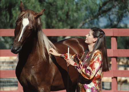 I Am All Ears - chesnut arabian, arabian, horses, arabian horse, girl, animals, whisperer