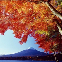 ALPS IN AUTUMN