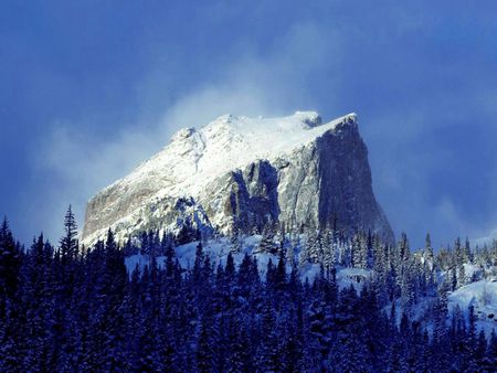 Mountain Peak  - forest, mountains, beauty, america, nature, earth