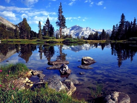 Mountain Lake - water, nature, earth, forest, lakes, mountain