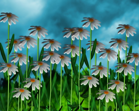 Daisy Art - Art, Daisy, Flower, Nature