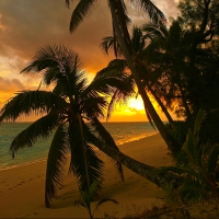 Idyllic, Rarotonga Island
