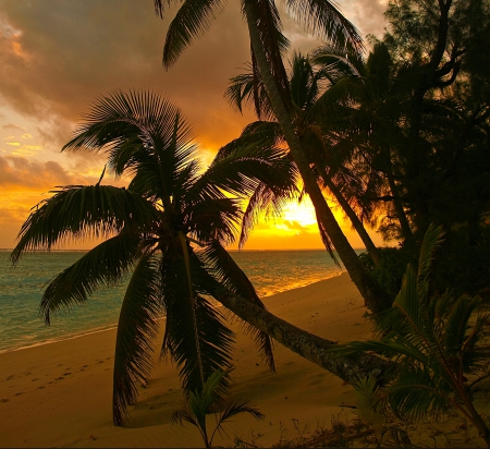 Idyllic, Rarotonga Island - clouds, summer, beach, beautiful, golden hour, sand, Pacific Ocean, sunset, palm trees, Cook Island, paradise