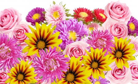 Beautiful Flowers - flowers, roses, nature, rose, petals, gerbera