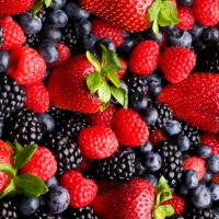 Berries