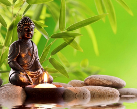 Lord Buddha - leaves, god, green, buddha