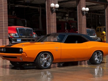 Dodge - dodge, street rod, car, auto