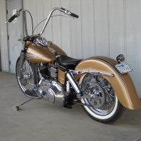 Harley Cruiser
