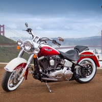 Harley Davidson