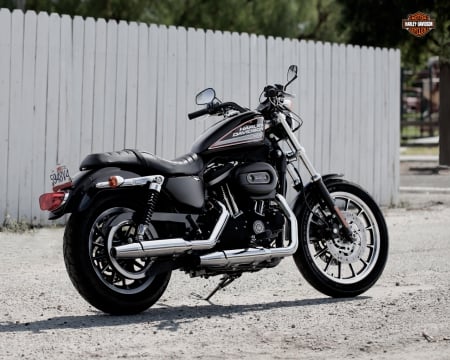 Harley Davidson - harley, bike, davidson, motor