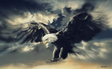 He controls the sky - Eagle, Fantasy, Bird, Art, Sky