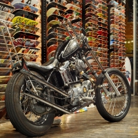 Skate Shop Harley