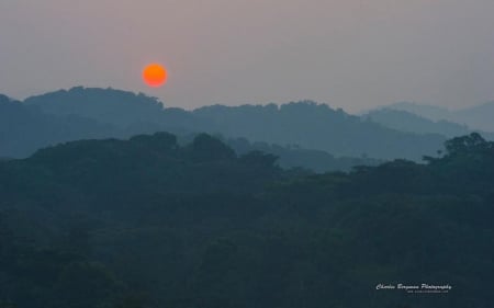 Sunrise impenetrable forest - sky, photography, sun, sunset, mountains, clouds, tree, dusk, scene, landscape, sunlight, hills, light, wallpaper, hd, abstract, forest, dawn, sunrise