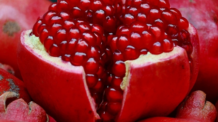 Pomegranade - hd, abstract, photography, pomegranade, fruit