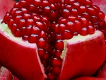 Pomegranade