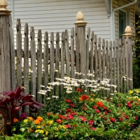 Scenic Summer Fence