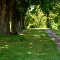 A Walk In The Park