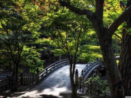 Taikobashi Bridge - japan, parl, nature, bridge